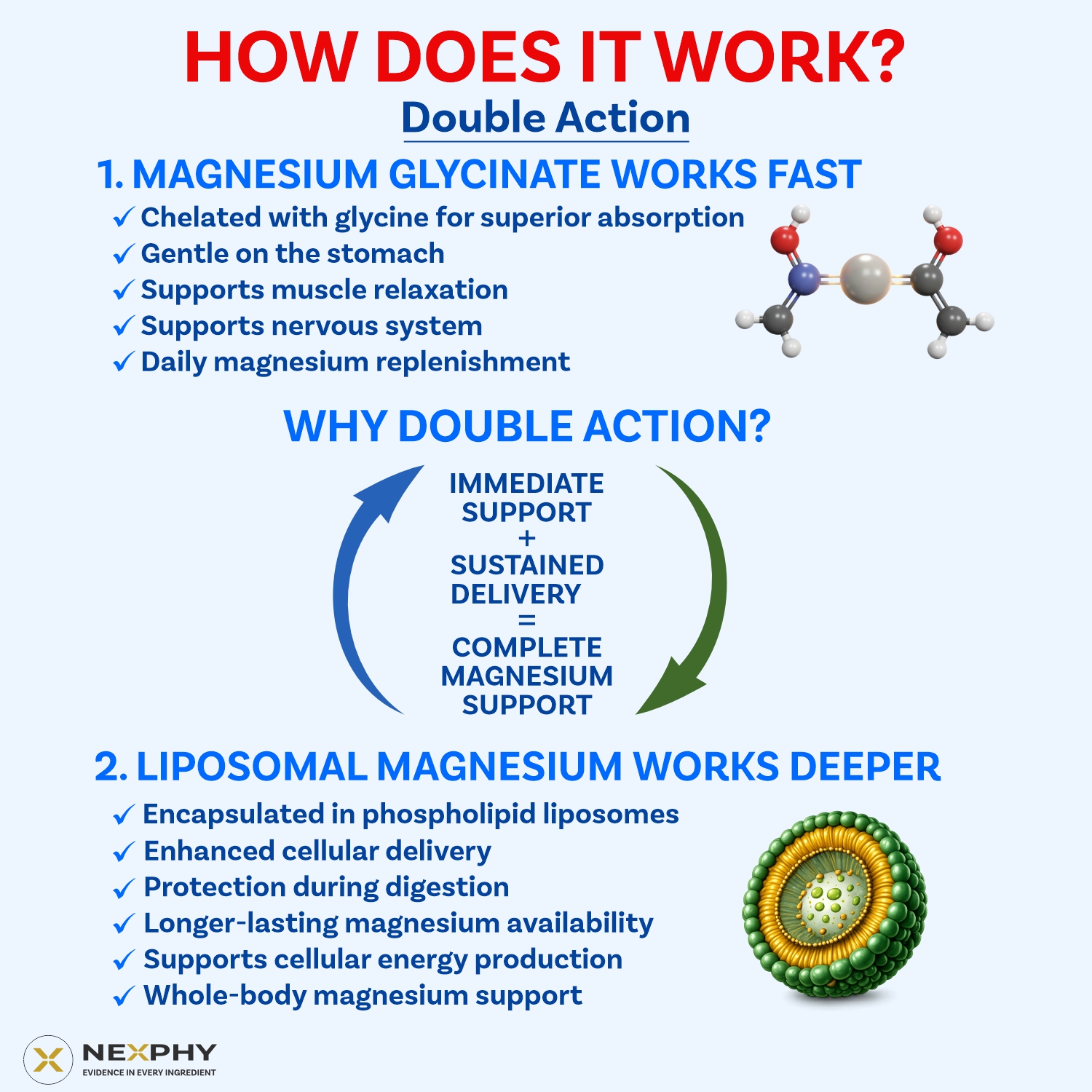 Megmaxx-Daily Chelated Magnesium Glycinate (Bisglycinate) 1200mg with Liposomal Magnesium 300mg | Dual formula | Non buffered | Highly Bioavailable | support Muscle Recovery, Nerve function, Sleep, Relaxation and bone health | 120 Vegetable capsules for M